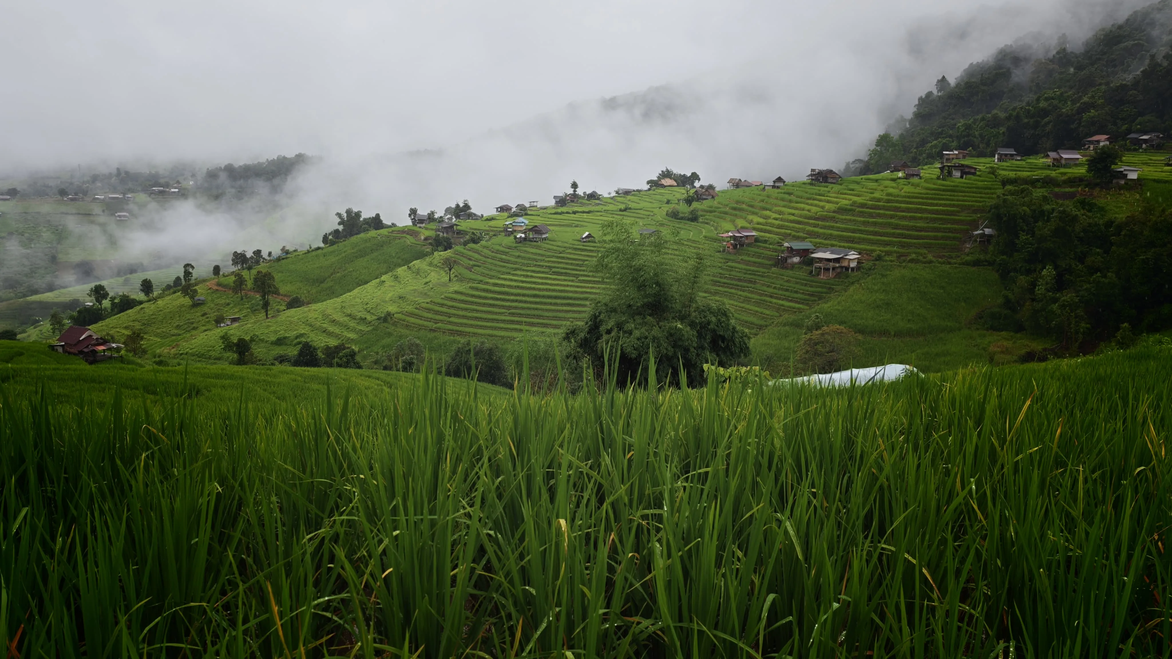 Foto panorámica de los Arrozales de Pa Bong Pian entre mares de nubes