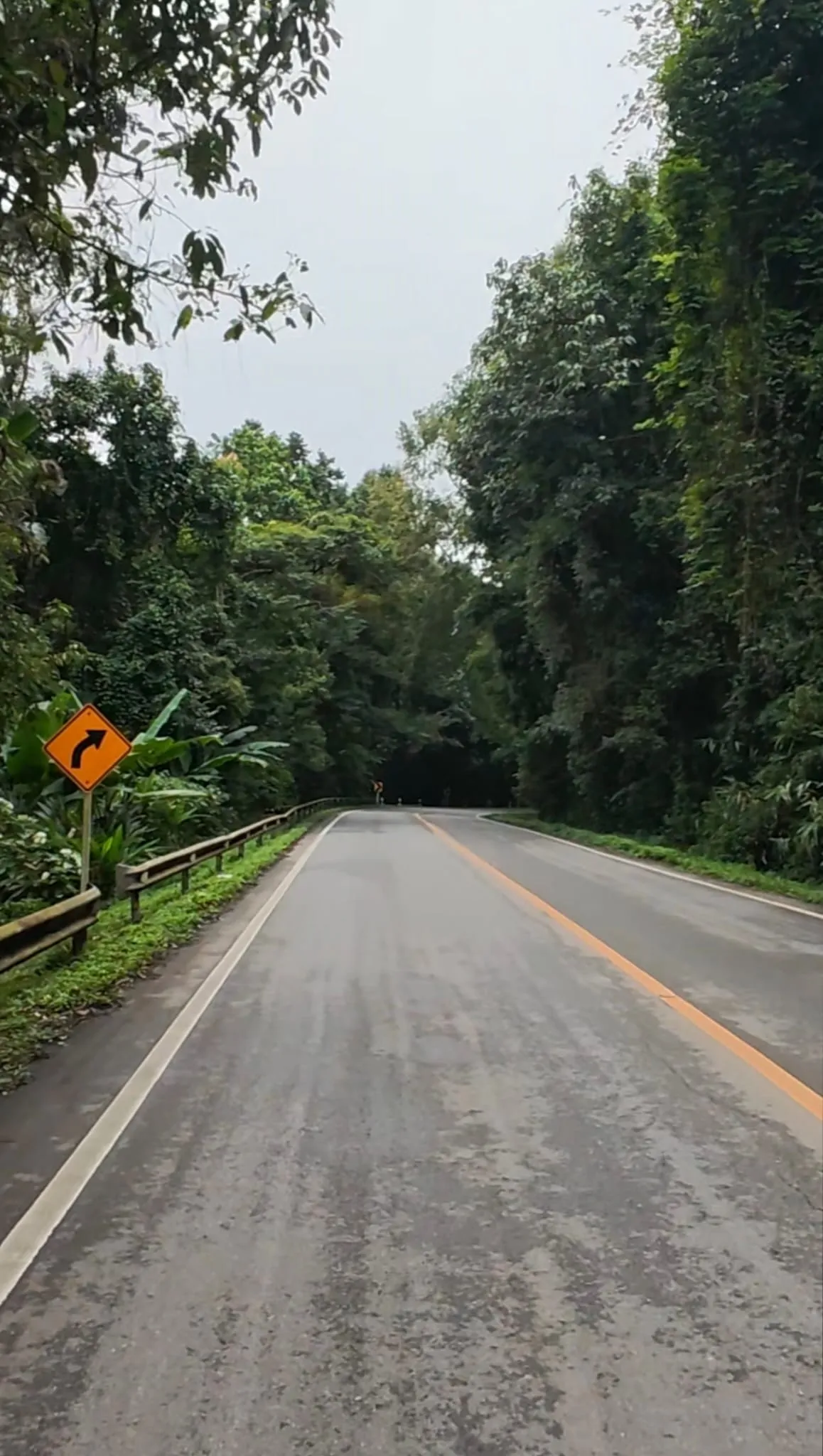 Vista en moto de la carretera que sube hasta Doi Inthanon en dia lluvioso.